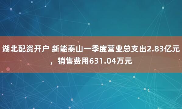 湖北配资开户 新能泰山一季度营业总支出2.83亿元，销售费用631.04万元