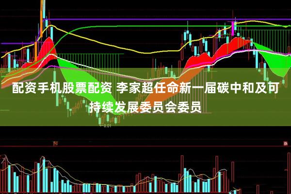 配资手机股票配资 李家超任命新一届碳中和及可持续发展委员会委员