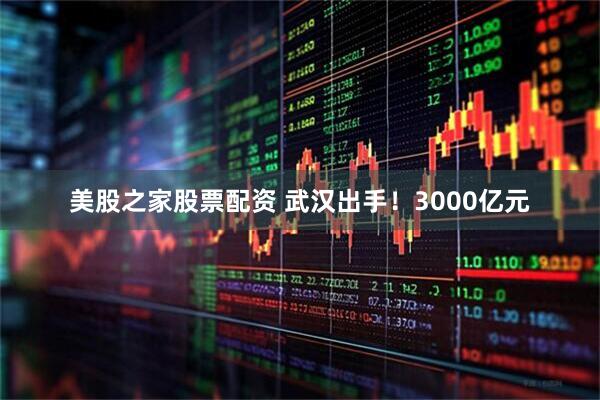 美股之家股票配资 武汉出手！3000亿元